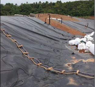 �����Ž����������(ch��ng)