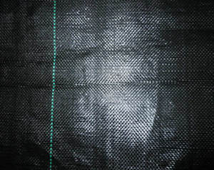 ���ݲ����a(ch��n)�S(ch��ng)��